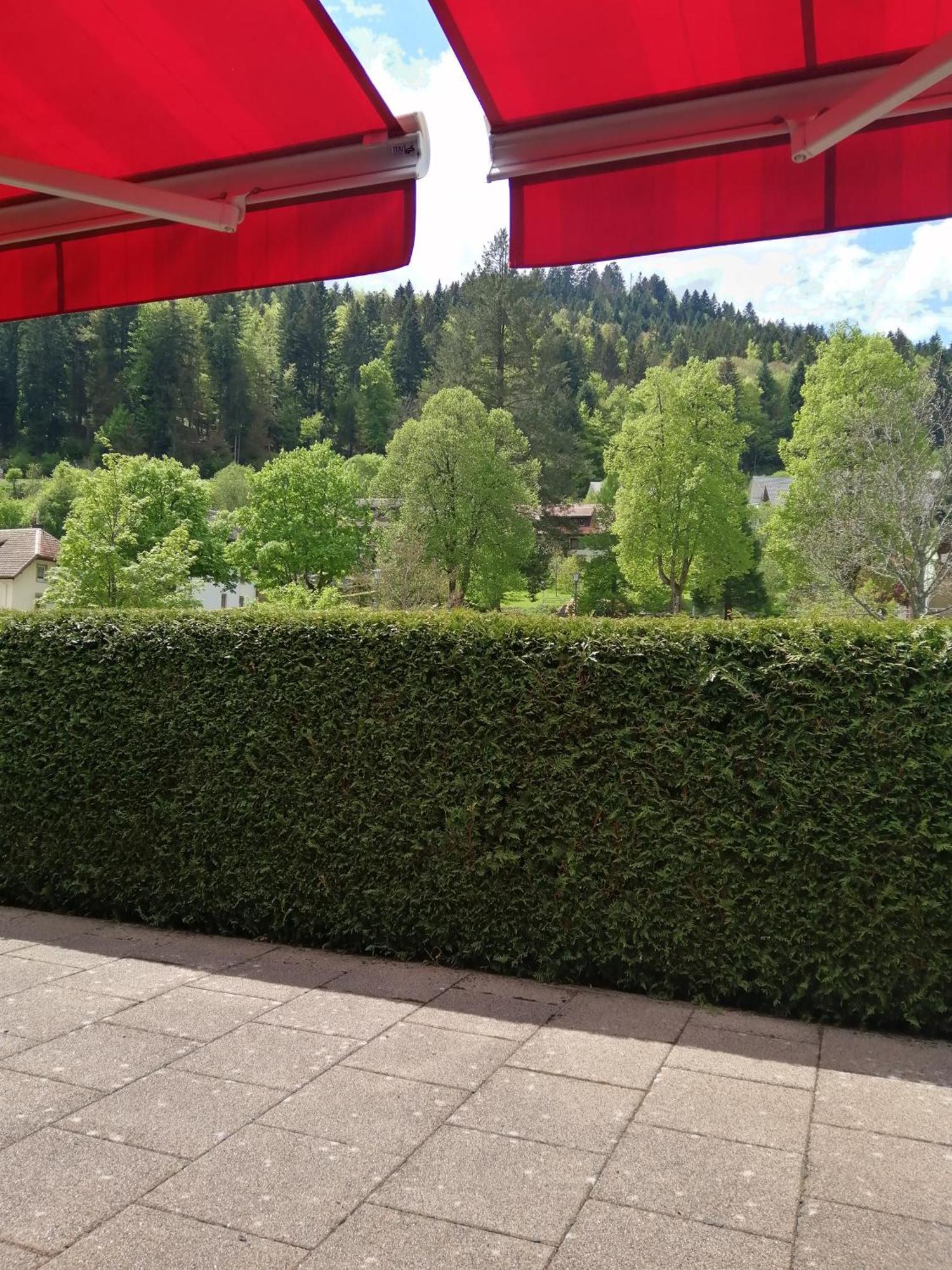 Hotel Am Kurpark Тодтмос Екстер'єр фото